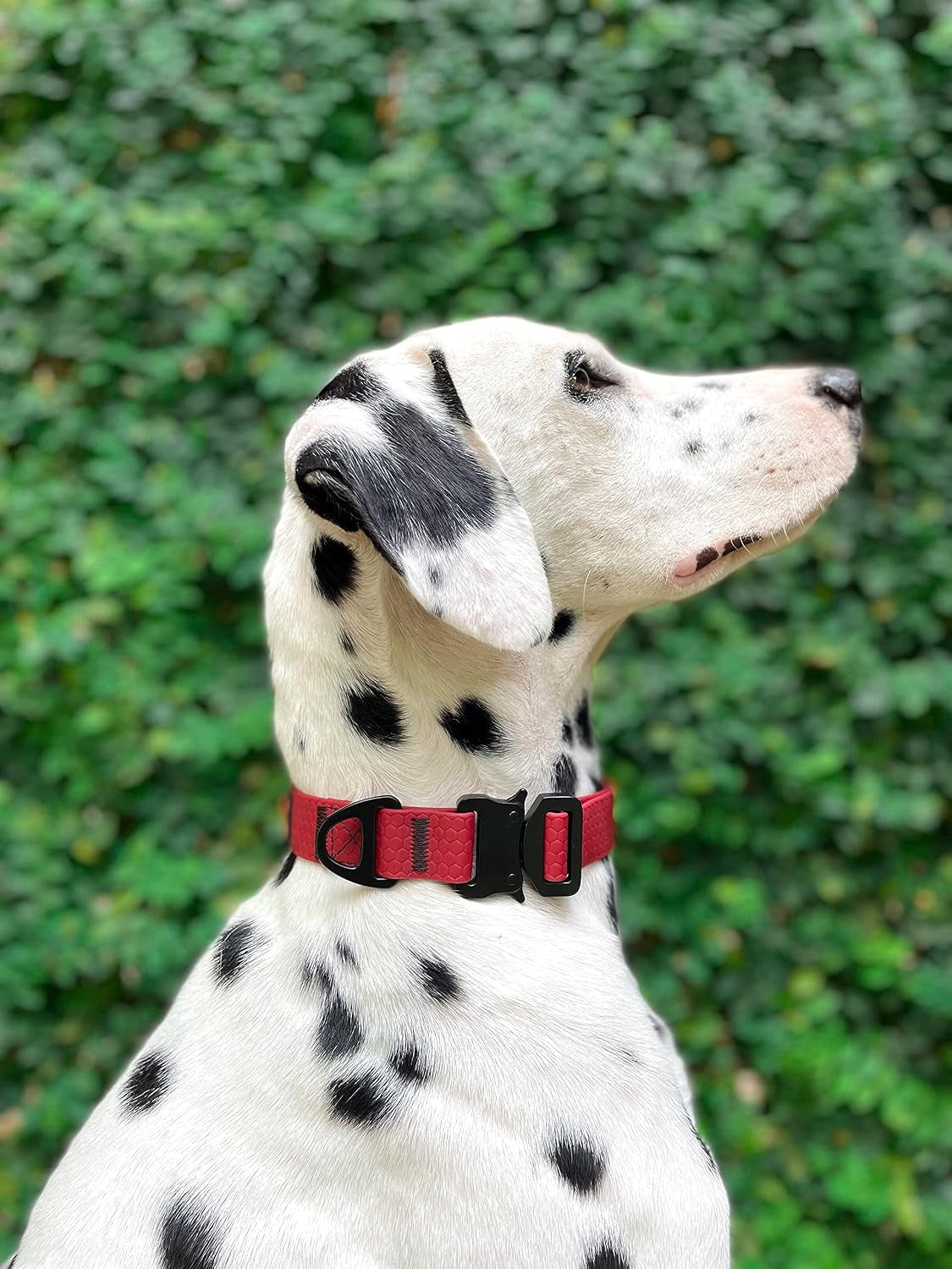 Waterproof Action Collar for Dogs | Heavy Duty Water Proof Dog Collar | Tear Proof & Odor Free | Rust-Proof Metal Hardware | Tactical Quick Release Buckle | for Adventurous, Active Dogs