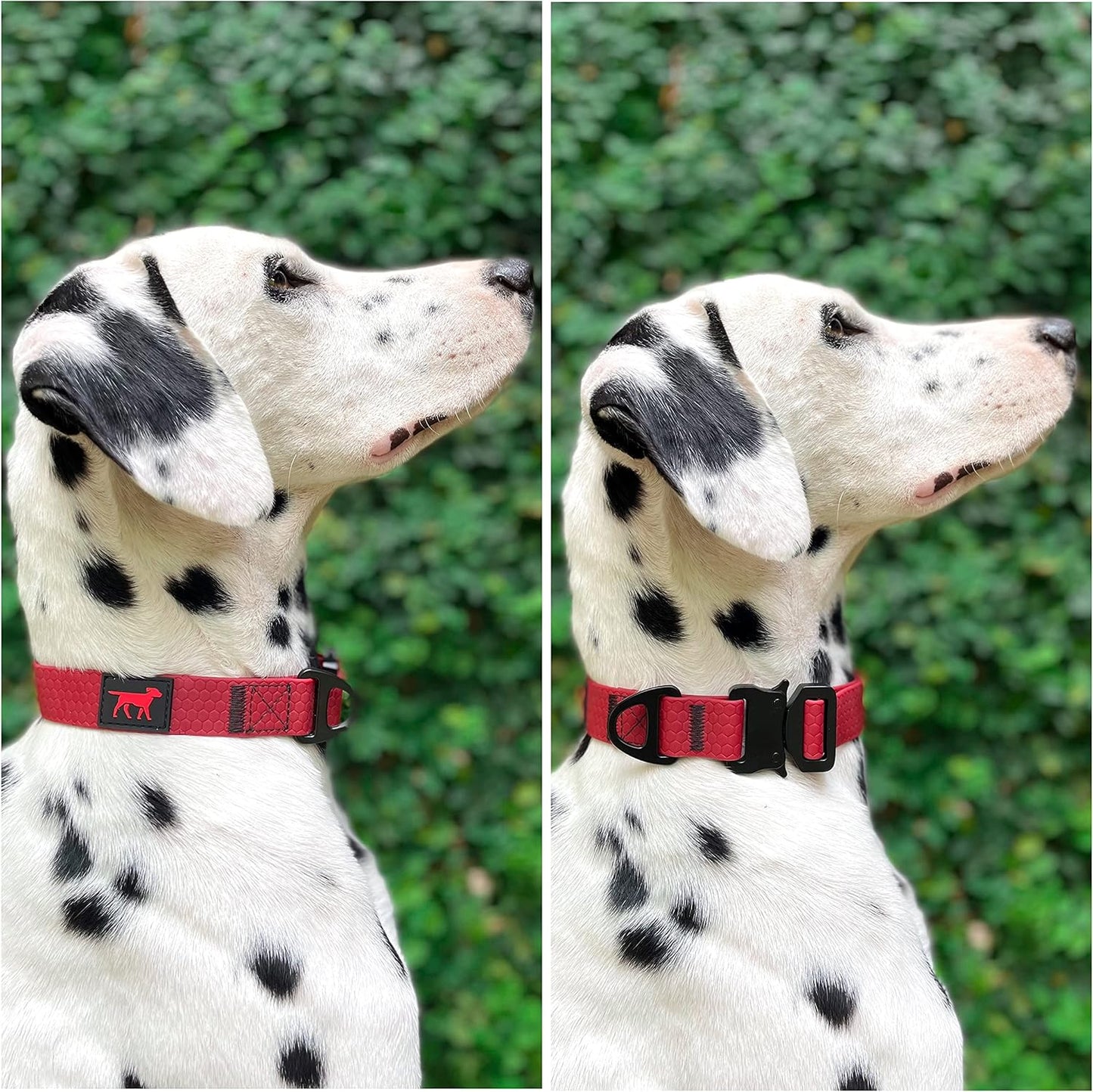 Waterproof Action Collar for Dogs | Heavy Duty Water Proof Dog Collar | Tear Proof & Odor Free | Rust-Proof Metal Hardware | Tactical Quick Release Buckle | for Adventurous, Active Dogs