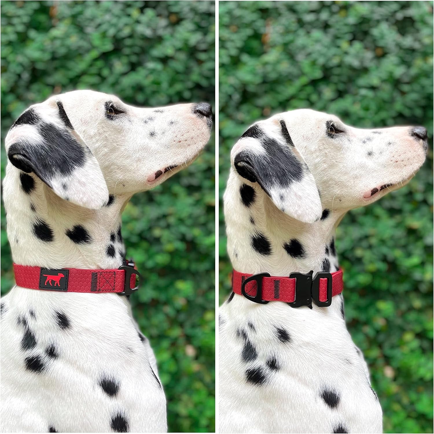 Waterproof Action Collar for Dogs | Heavy Duty Water Proof Dog Collar | Tear Proof & Odor Free | Rust-Proof Metal Hardware | Tactical Quick Release Buckle | for Adventurous, Active Dogs